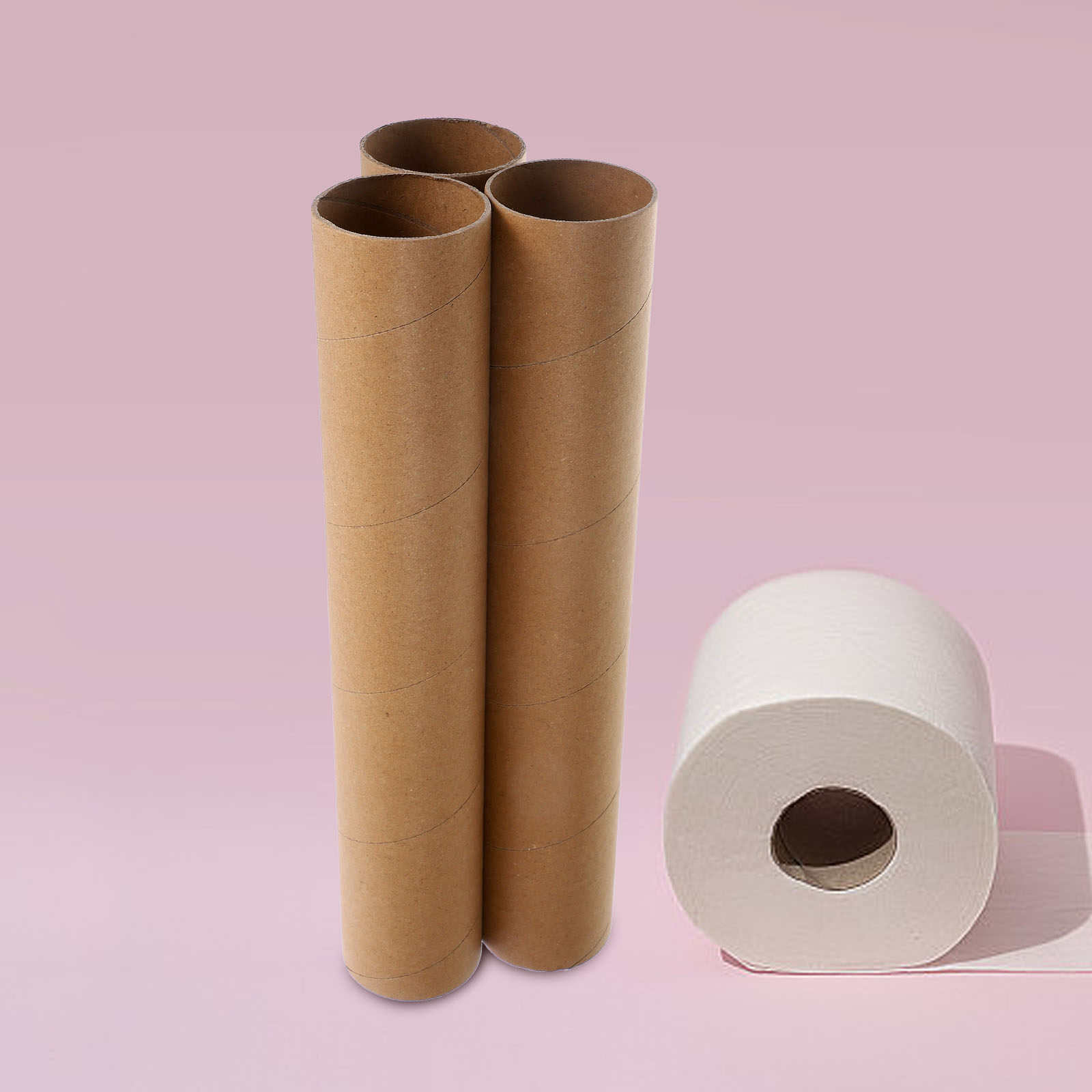 Art Craft Kindergarten - 3Pcs Blank Paper Tube DIY Craft